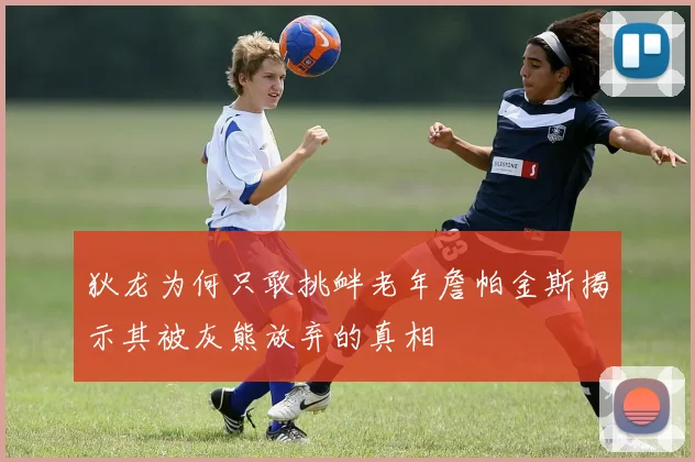 狄龙为何只敢挑衅老年詹帕金斯揭示其被灰熊放弃的真相