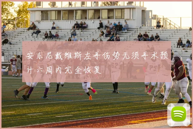 安东尼戴维斯左手伤势无须手术预计六周内完全恢复